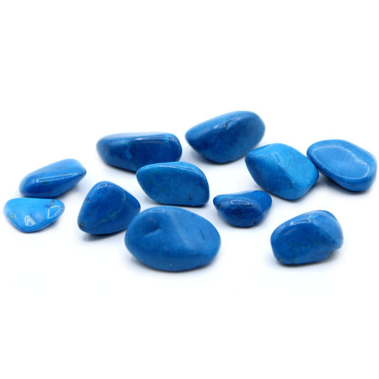 24 x Blue Howlite Stone - Medium